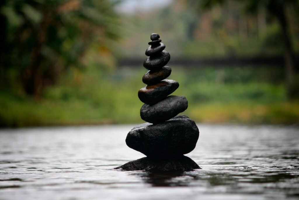 About Nora Wellness & Management , what we do, privacy policies and policies and term